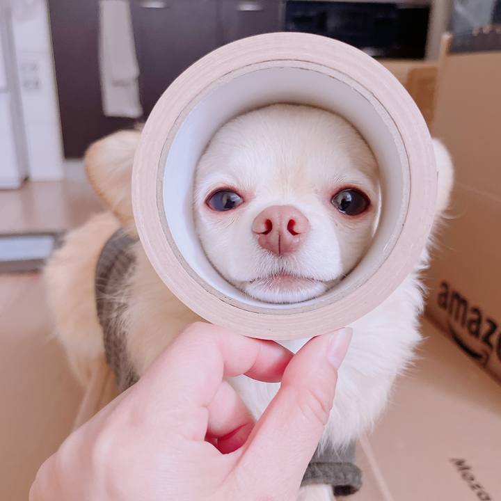 125c8a5e 0e3d 496a adf6 8c736b3efa4e 1681808100591