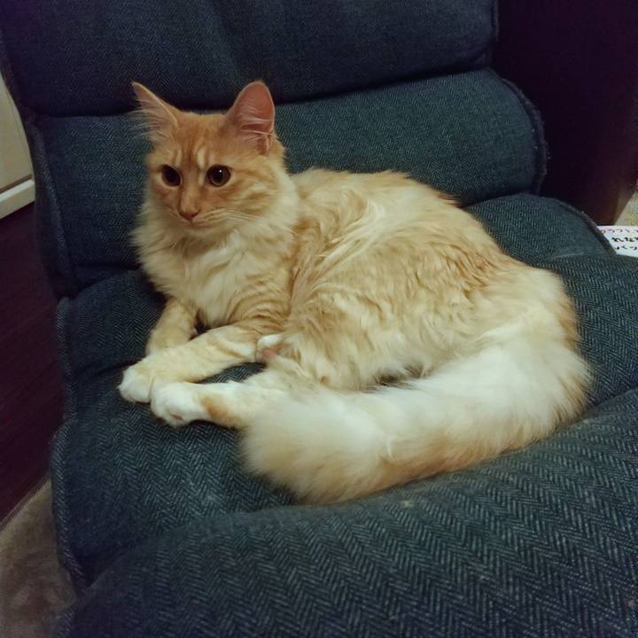 125c8c2d 5d82 4830 bf7a 77cad290c37a 1621001776760