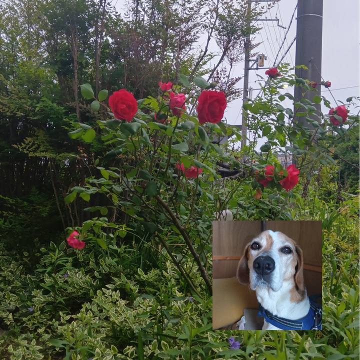 125c8df3 2717 4326 aa96 104a335f8bc6 1746953878743