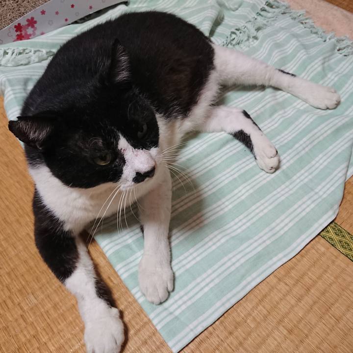 125c92f8 4882 4915 9045 6e52f2dd2866 1569418691825