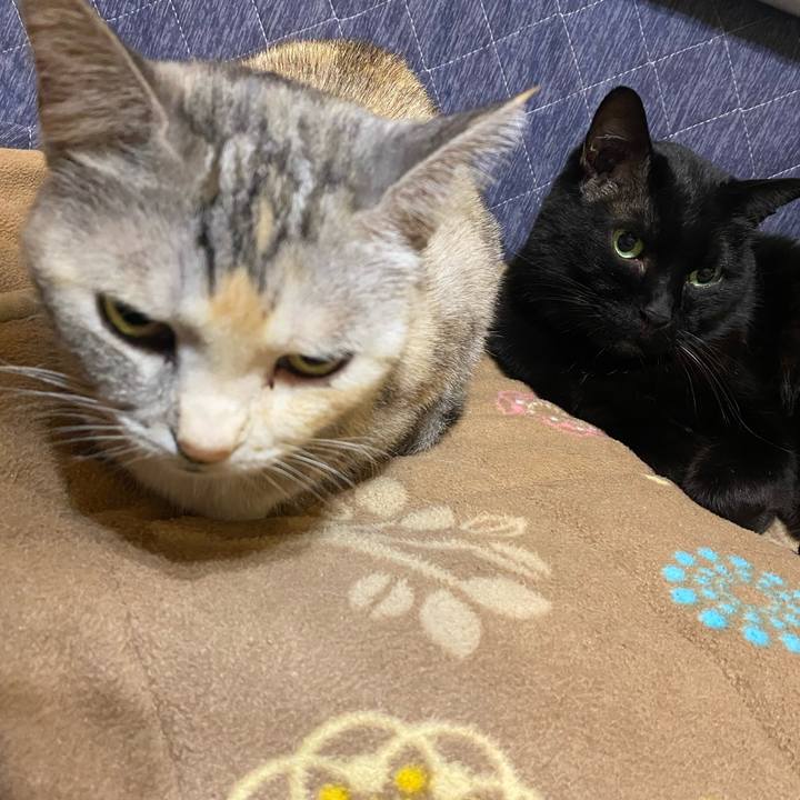 125ce5d8 3b82 4fd7 af94 fa6f69d3f151 1634762365966