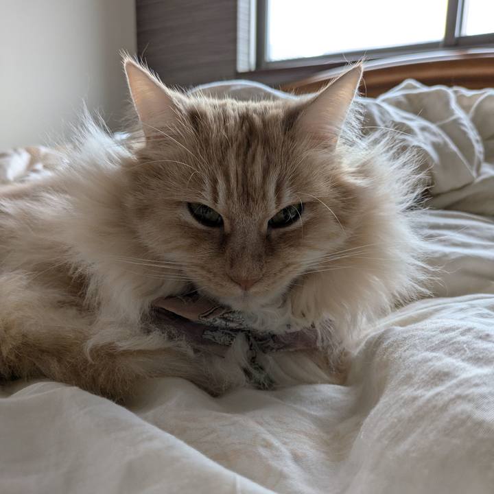 125cf32c 4a42 4bcc bdb2 790a10c8745e 1745632336229