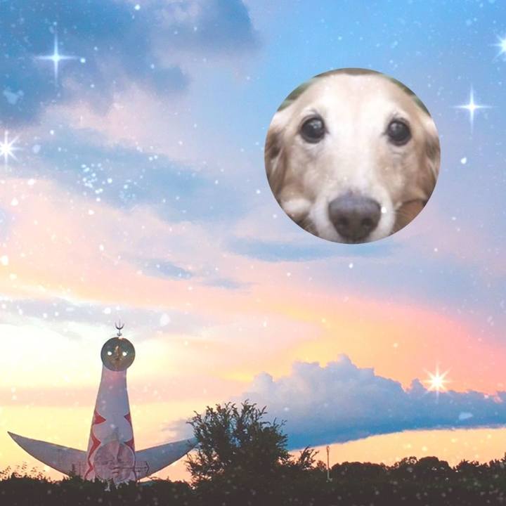 125cf82b 2cd9 45b1 b626 5aaa88973d31 1603295094421