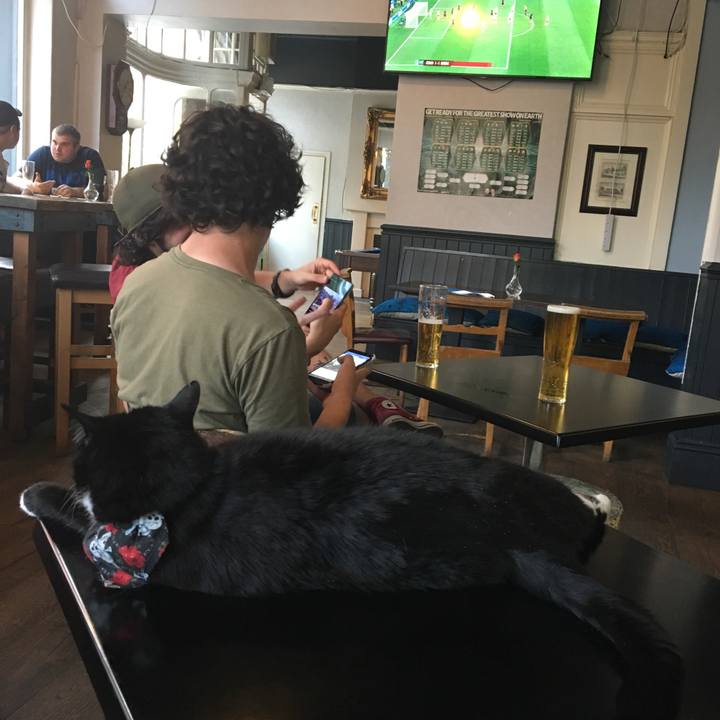 125d1549 f508 44d4 9795 cd8b521eef6d 1530475220397