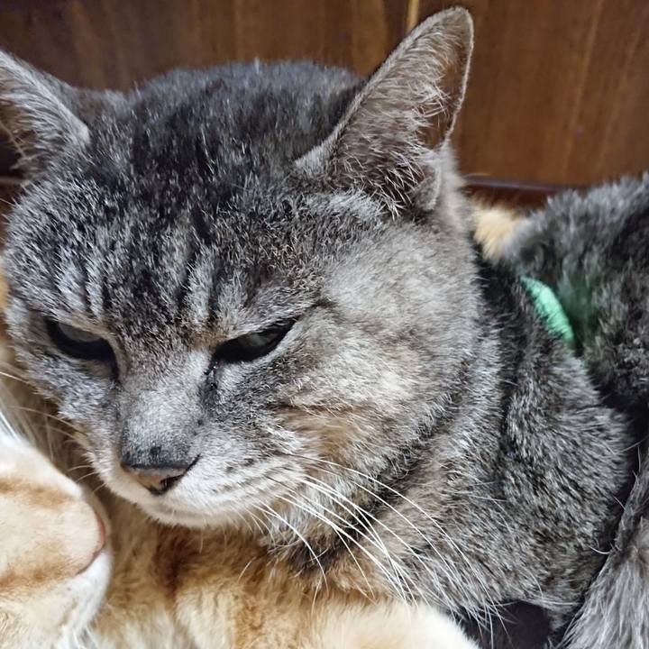 125d1d6a 48c5 47e2 9b7b 6436a38dd3f7 1587469764259