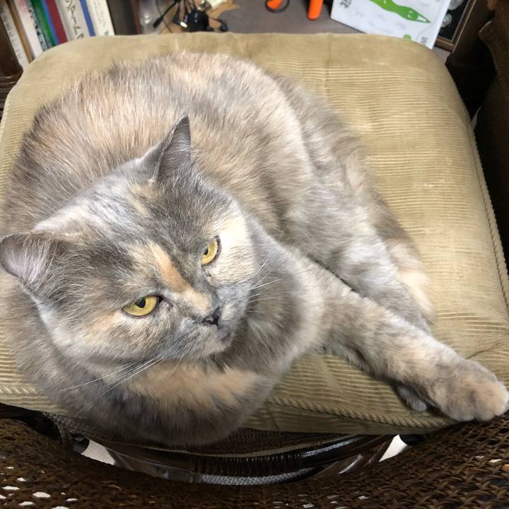 125d28c1 4bc0 4ec1 a019 4b51aad1006d 1667746793609