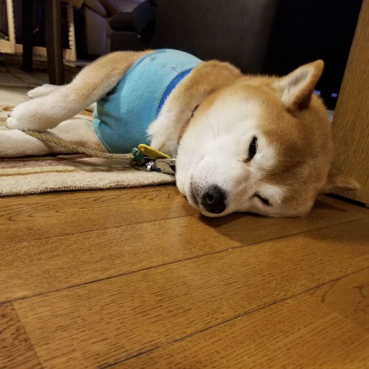 125d326a 119a 4a03 8792 e1acd27c8901 1584522804844