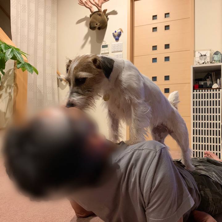 125d3be4 156e 4d0d 8d5d a9f53eb0f6f7 1595513005814