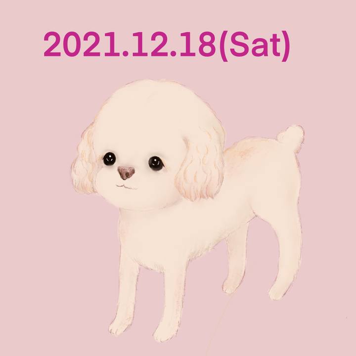 125d6b64 153a 4494 944b 1af21da4668b 1639834673432