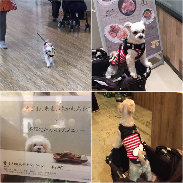 125d71c4 6a7b 4e20 8da1 d3751be3e6db 1544266125274