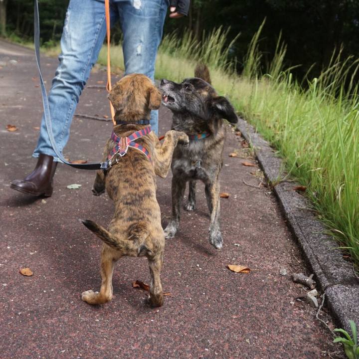 125dc6b8 7b0c 47a3 9ea1 94ea7ae3d41a 1569669845382