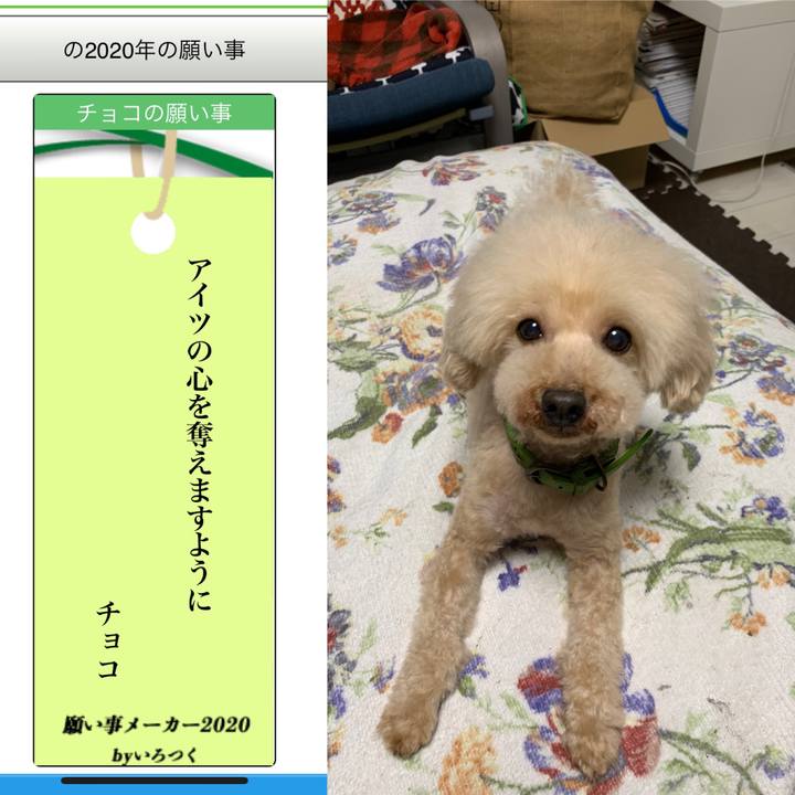 125df3ef 68c2 487c b50d 2842be7537ef 1594109694832