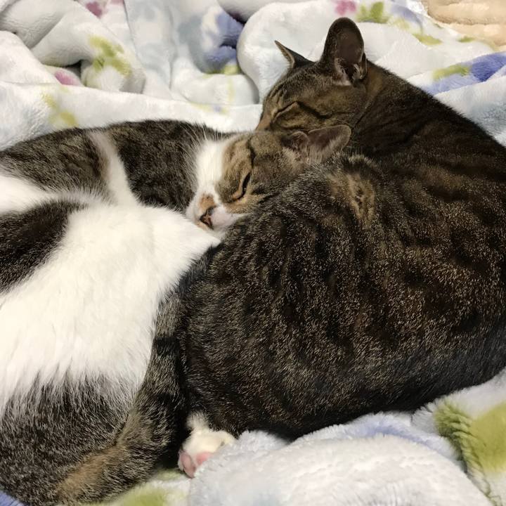 125e5f9b 1248 4578 bee4 9f2a3089b4ff 1511831886914