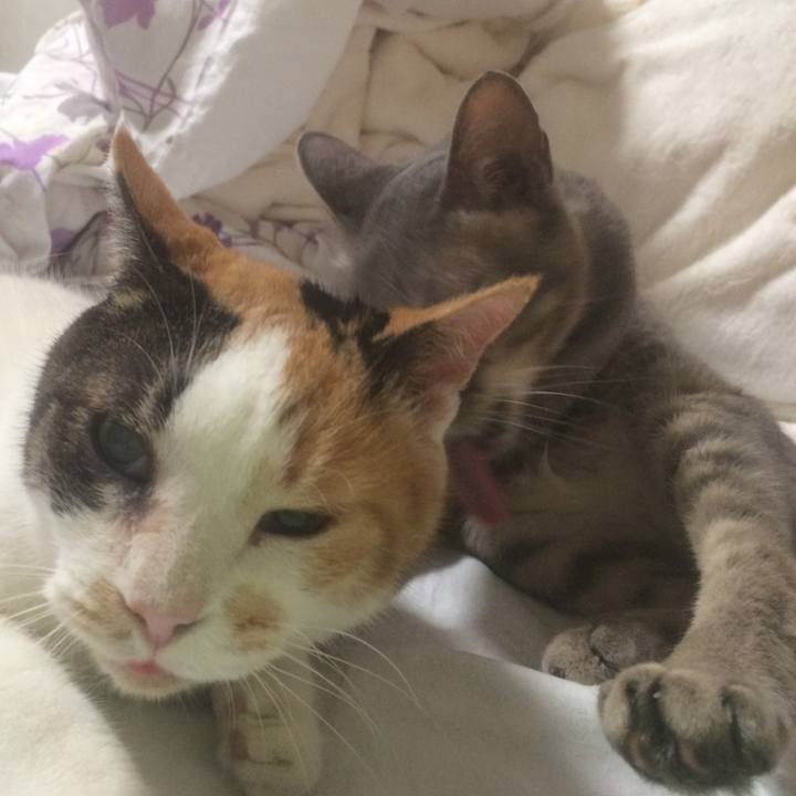 125e6297 1044 48e1 8643 d1df503878fc 1531671201207