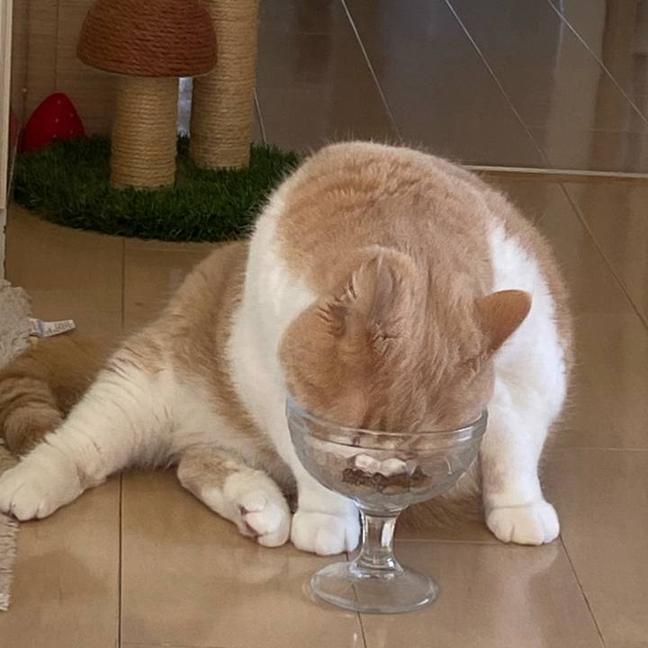 125e69f1 38bd 4bde 92fc 0bf054f22059 1670382768380