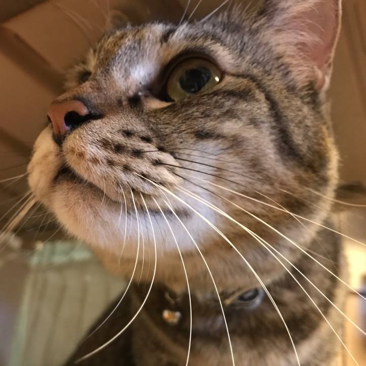 125e81df 7ecf 4418 9890 a266df6600ca 1571726815839