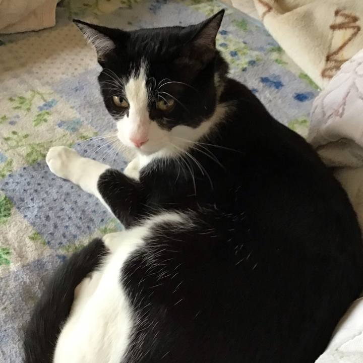 125ec089 1402 4362 9947 7c09f3aec294 1651912690094