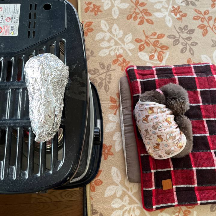 125ececd 4864 48bf 8109 b56332207847 1734045391417