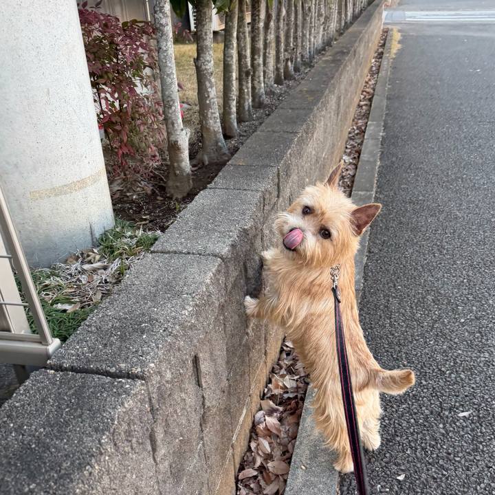 125ee899 b018 4fbb 81a3 17413dd27d93 1766134691430