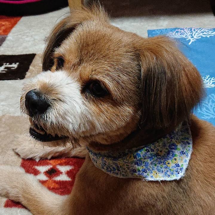 125ef700 e1ee 49d9 a076 efdc28fb4de4 1558873310454