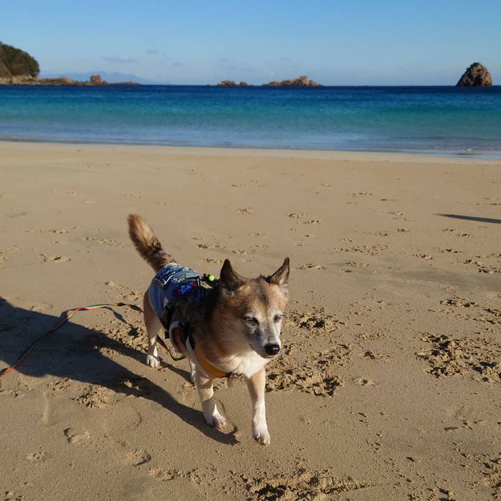 125ef759 f03e 4f38 bcd0 e14a94d78a14 1610406112014