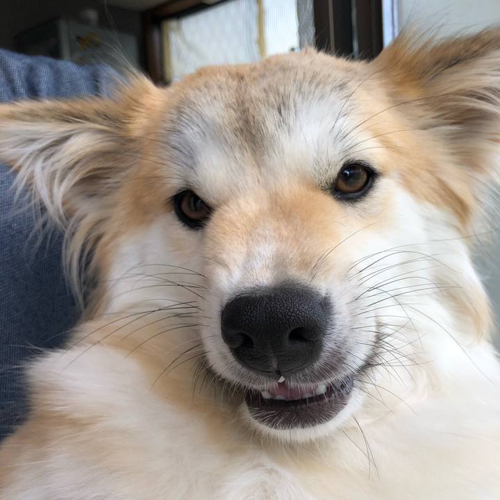 125f3003 701d 491e 90c6 cadeb3f44050 1593641755510