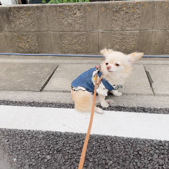 125f4421 ba65 4c80 8495 43348697209b 1729514681551