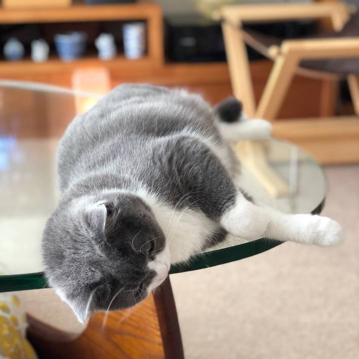 125f45f6 480a 4461 bf39 c27803c04042 1531117502790