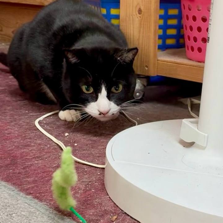 125f8656 efd8 48a7 a08b 25db77a77bf7 1769658531438