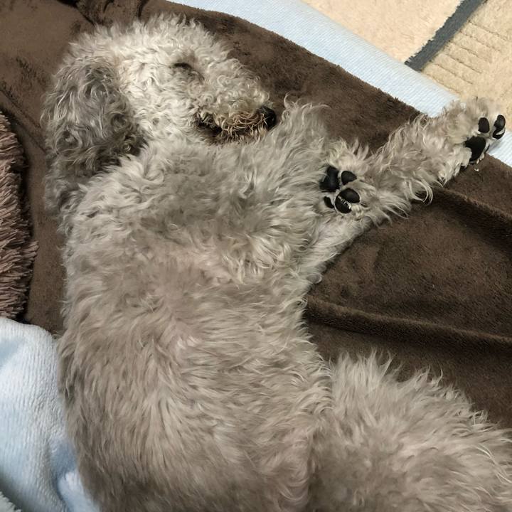 125f8d97 fd79 47f3 9af3 9a0c5f252cf0 1579061560241