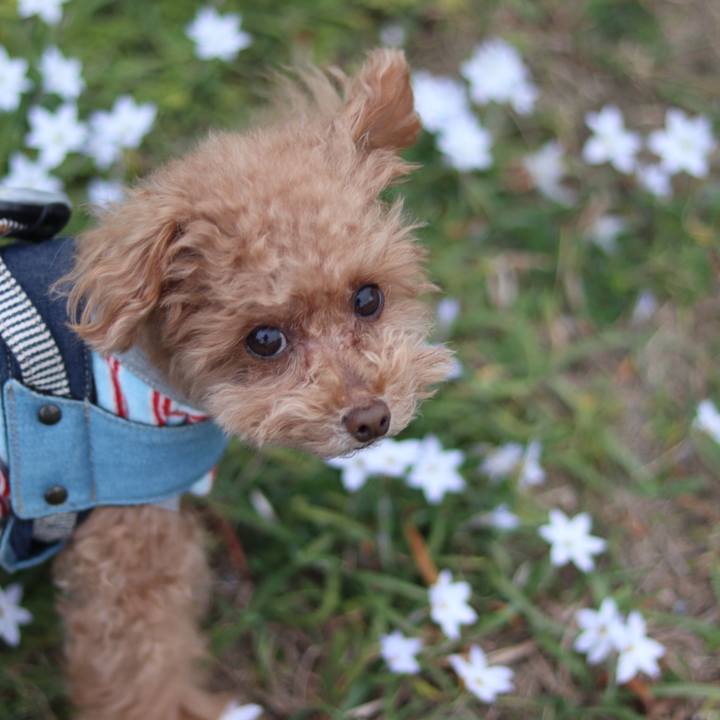 125f9aa2 cbbb 453d b508 aca6509b28d8 1584131891567