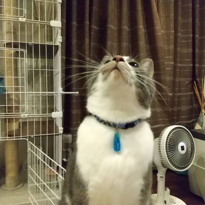 125f9d29 d604 4a9d b4f0 acdc392dce4b 1609850665265