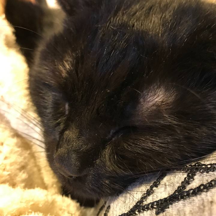 125fa764 2611 4c49 8bd4 962b2f1ddff9 1556519199154