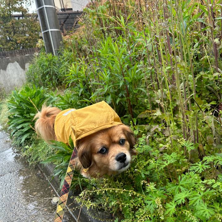 125fa8d2 d7d1 4a06 84ac 357402de3499 1681524919184