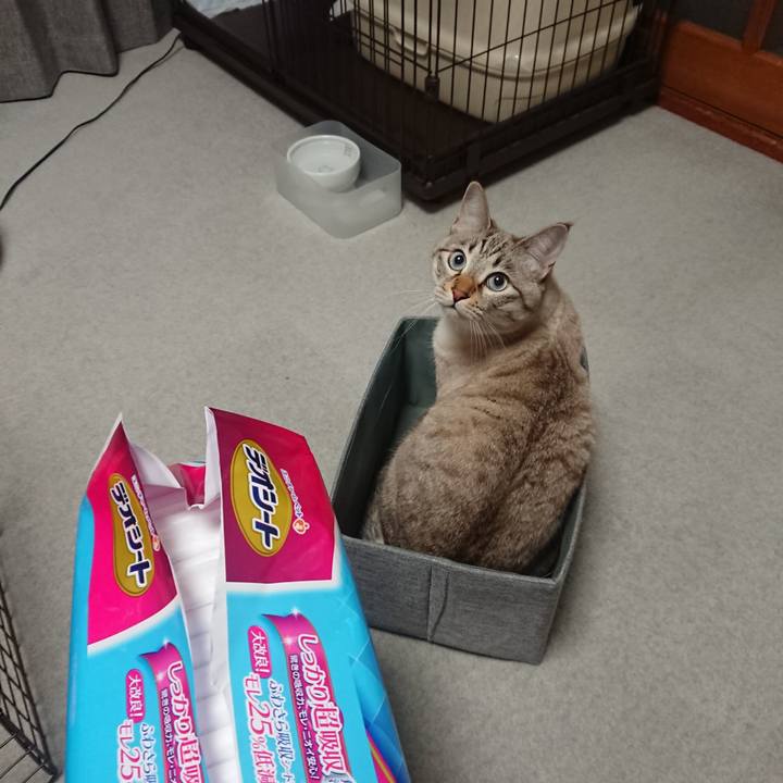 12600d0b 8d23 47fc 890b 4804221684d4 1546773497524