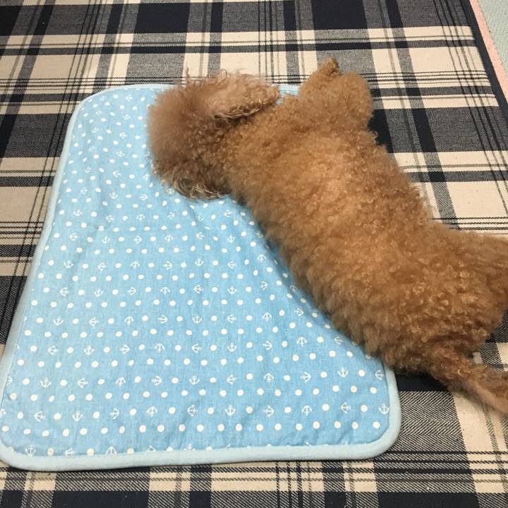 12601f97 0592 41e7 9cf8 dcc107cc63d7 1528189184647