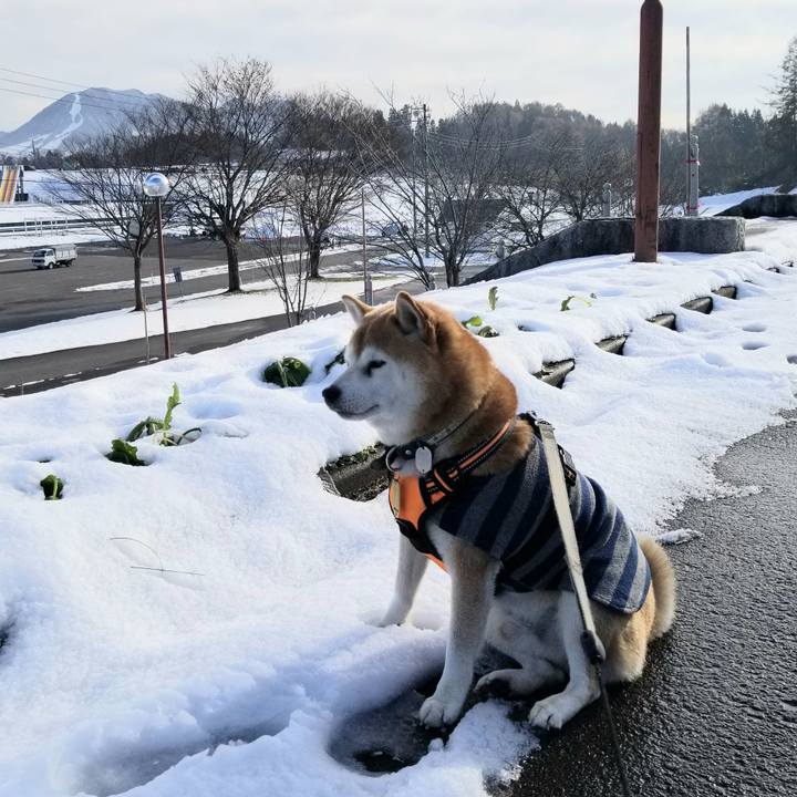 1260205e 1cd6 4f09 8b31 368d3912e4b1 1638163025093