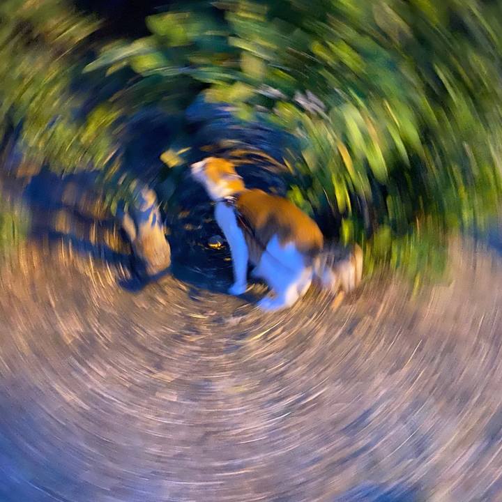 126026b1 8789 415a a28b 6a7df5936e66 1592057713046