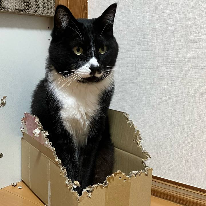 12602b5b 02c2 404a bea2 ee369c027496 1747973747144