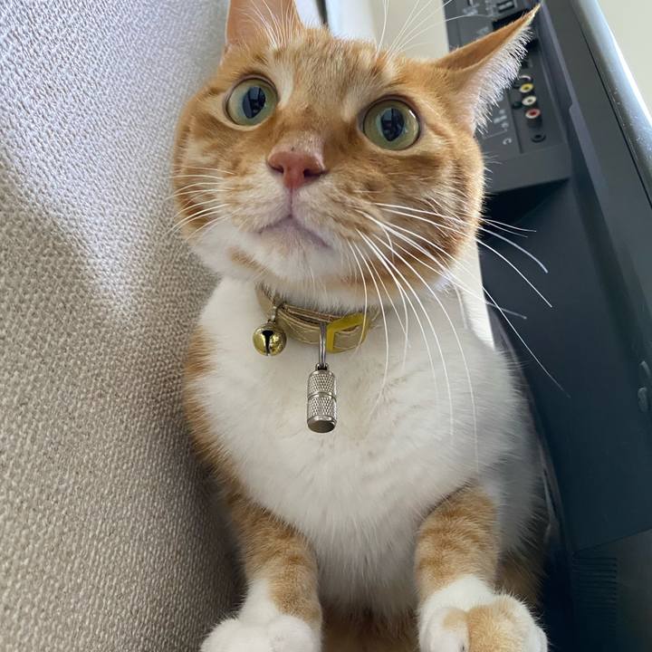 12606749 2037 485e 8c09 504a9a739a85 1620267022477