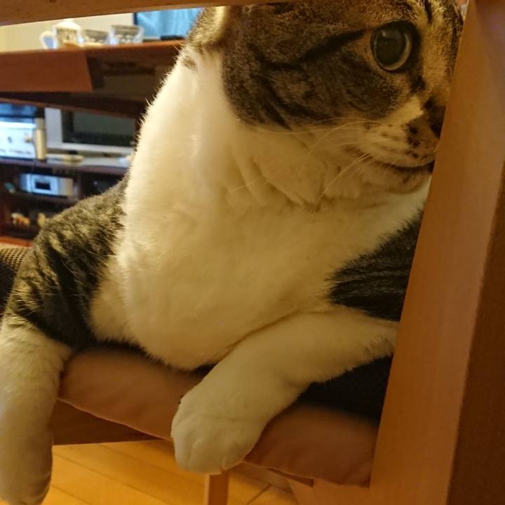 12608800 4ad0 49f1 9afd 3ca6f3c46de1 1575173729624