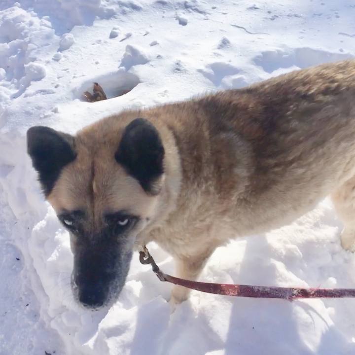 1260a08a c46b 49e4 a1cc 11c28384c66f 1548950674898