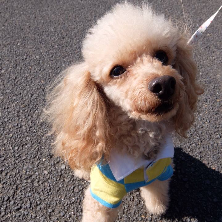 1260a2e1 11fe 46ab b9e1 7541d7e158a3 1510390145182