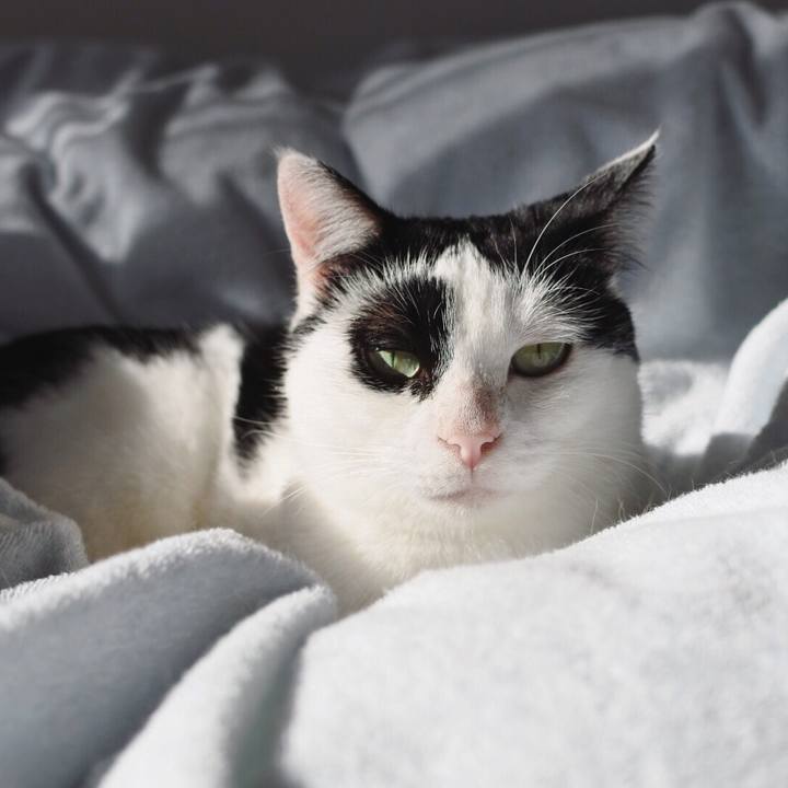 1260a9ea 99fa 4ab5 8dfe 58308ad5fa18 1545951343446