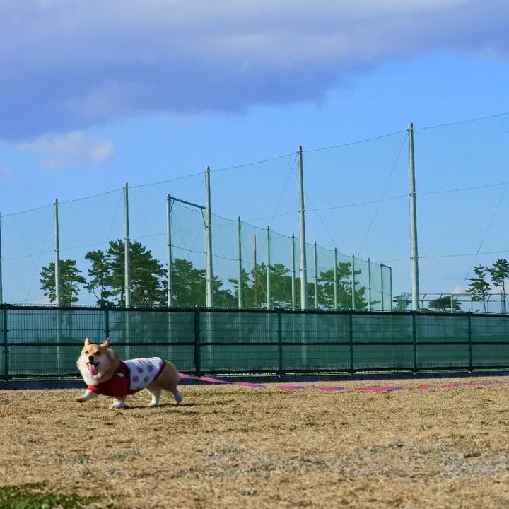 1260e698 6d57 4fb0 bbf8 5781b7ca4e4d 1584278715895