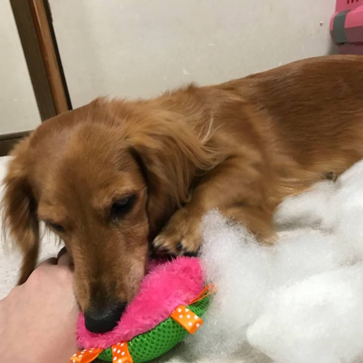 126113bb c3bb 4d30 8161 08d21b95b8a0 1769262280429