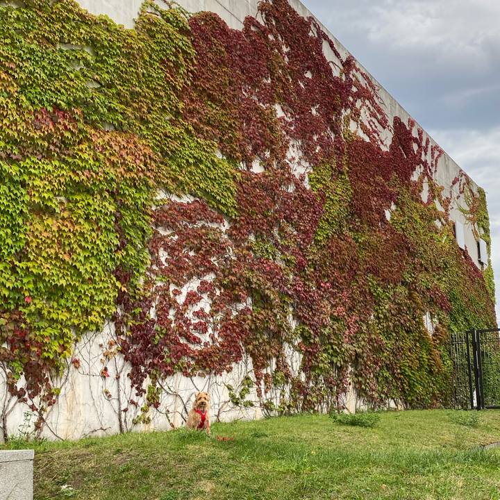 12611e6e c818 4d41 8577 321ca7c7c629 1663458487575