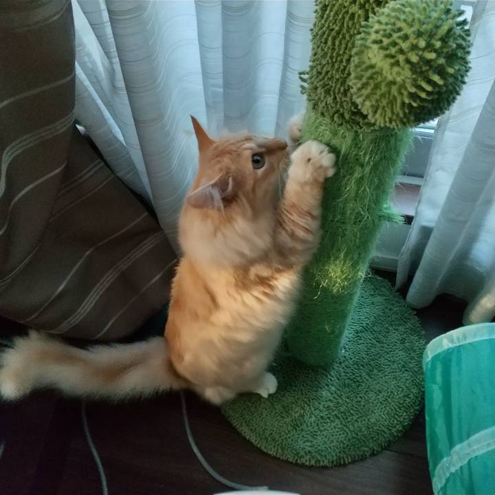 12613075 0034 4118 af4e d3b59e68d890 1623363166646