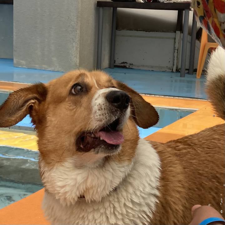 12613922 c975 4ee0 9979 43cc772d60ba 1719108507151