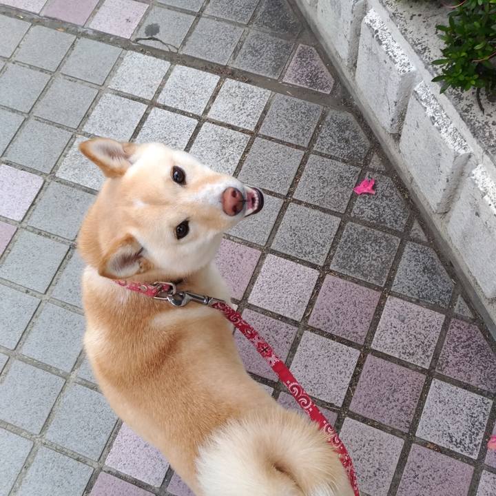 126140dd 484e 4ae6 b7a3 cb9386fb3368 1528186272532